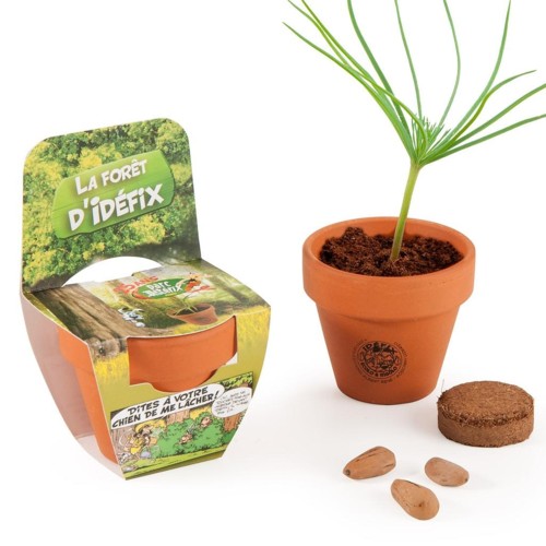 Kit de plantation black - Trèfle 4 feuilles Radis et Capucine