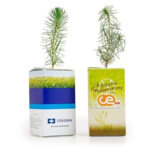 PIN PETIT ARBRE EN BOITE IMPRIMEE