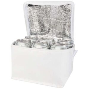 Sac isotherme Spectrum non tissé recyclé GRS de 4L pour 6 canettes