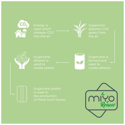 Boite repas 700 ml MIYO Renew à un bloc