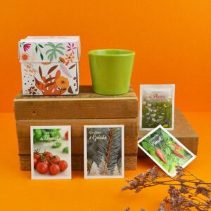 Kit 4 saisons