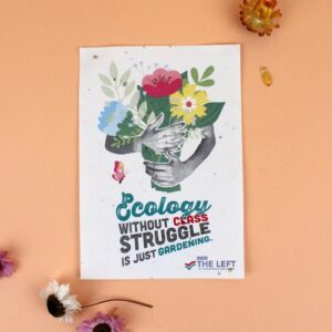 Papier graines A6