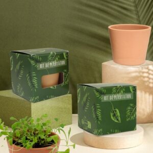 Cube plantation standard Ø7cm