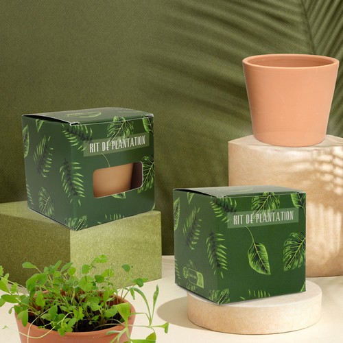 Cube plantation standard Ø7cm