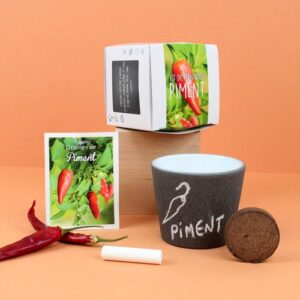 Kit pot ardoise graines piment
