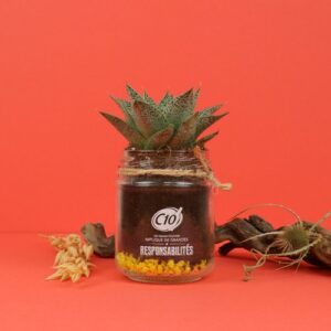 Plante bocal
