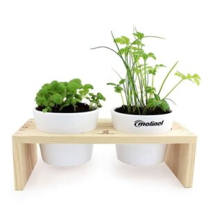 Plateau Duo aromatiques