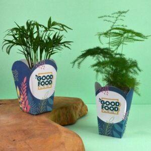 Plante pot popcorn