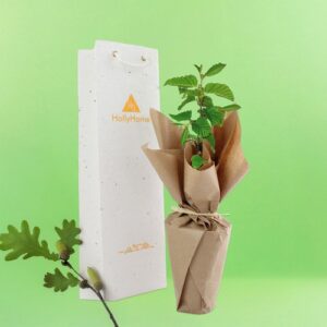 Plant d'arbre dans un sac papier graines  - Feuillus