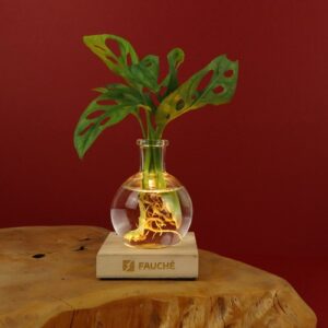 Plante vase socle lumineux
