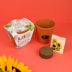 Kit plantation terre cuite Ø10 cm