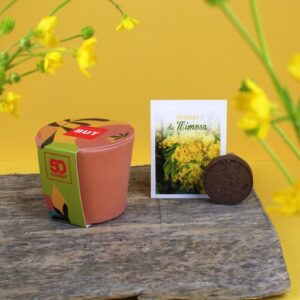 Kit plantation pot ceramique Ø7 cm