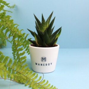 Plante pot céramique Ø7 cm