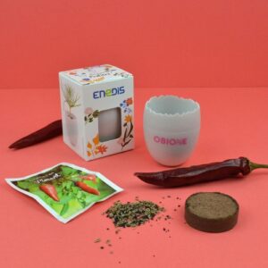 Kit œuf