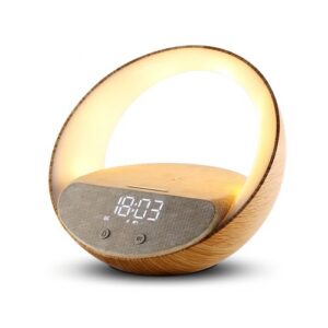 Enceinte alarme induction Bluetooth Speaker - BLAUPUNKT