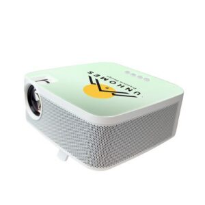 Kodak Projector Flik