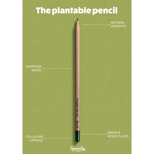 Sproutworld Set : Sharpened Pencil & Header Card crayon taillé