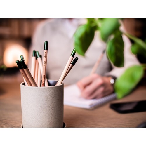 Sproutworld Set : Sharpened Pencil & Header Card crayon taillé