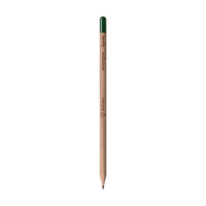 Sproutworld Set : Sharpened Pencil & Header Card crayon taillé