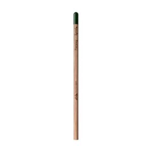 Sproutworld Set : Unsharpened Pencil & Header Card crayon non taillé