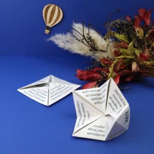 Cocotte en papier graines