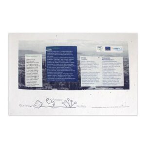 Papier graines A4 250g recto