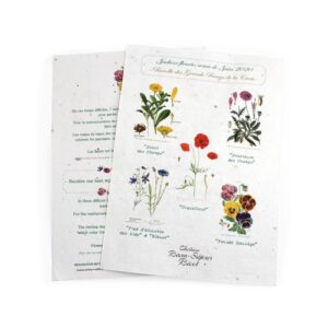 Papier graines A4 250g recto/verso