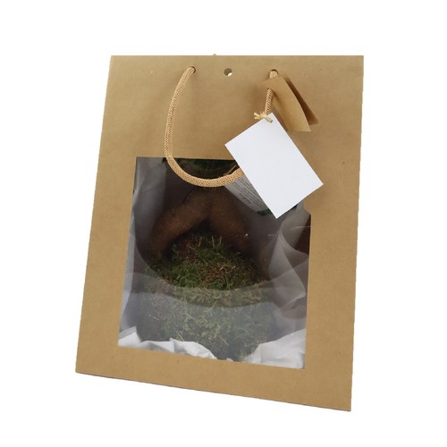 Kokedama